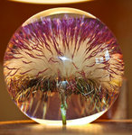 Paperweight open Thistle