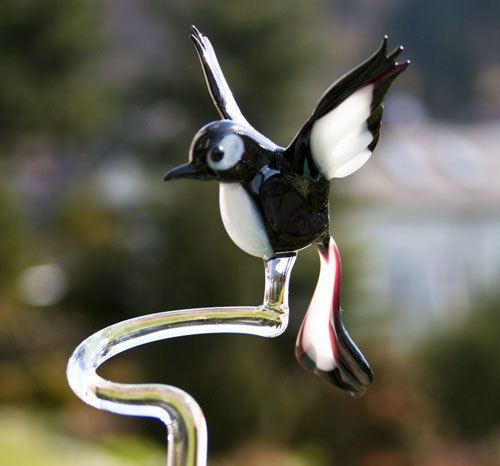 Orchid rod magpie