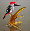 Woodpecker on a bought