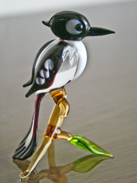 Eurasian Magpie on a bought