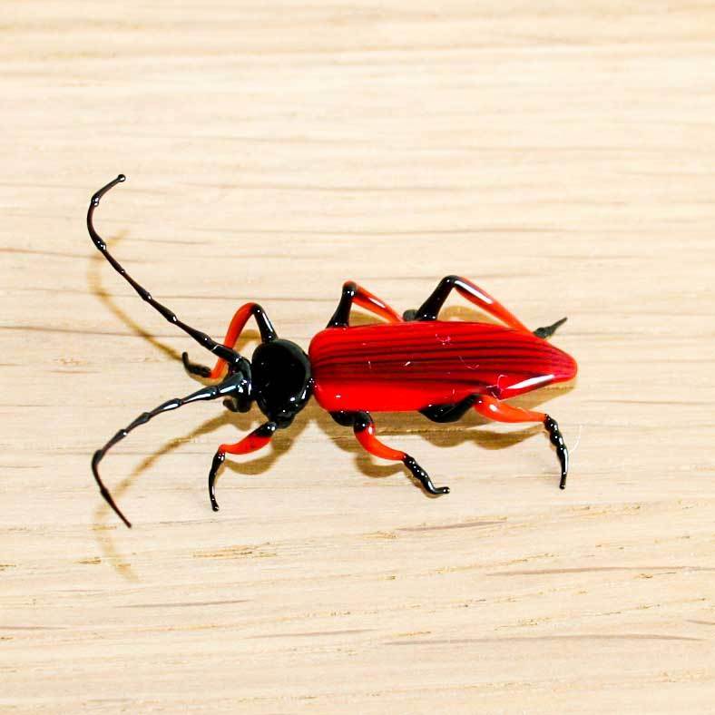 Red Brown Longhorn Beetle